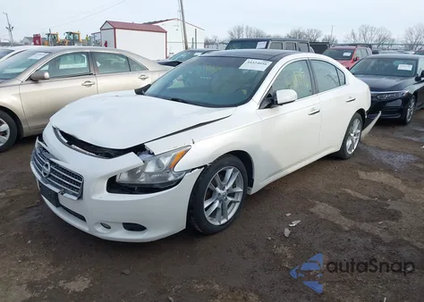 2011 Nissan Maxima 3.5 Sv z USA, uszkodzony, nr VIN 1N4AA5AP3BC813396